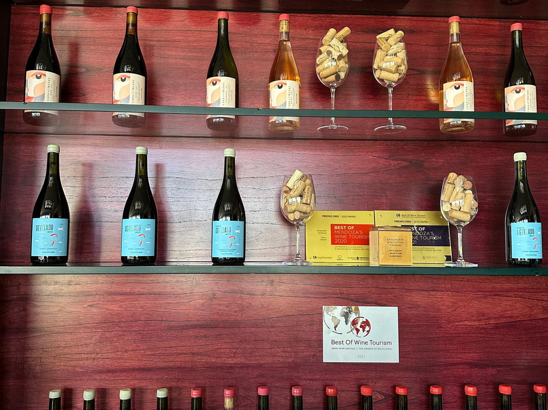 Solo Contigo Wines-Los Sauces必去景点