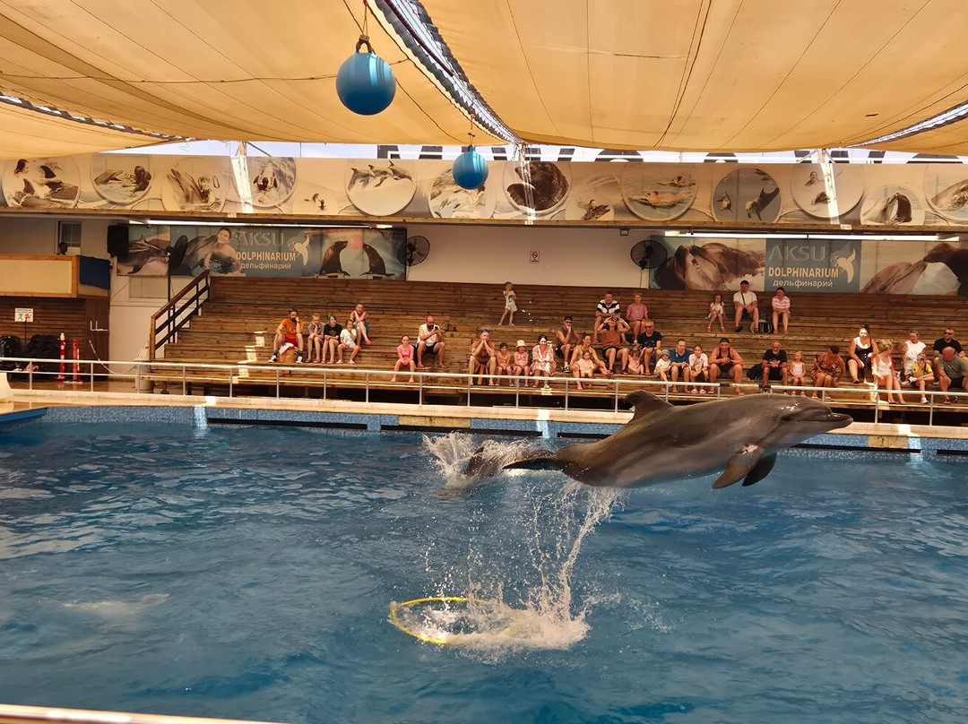 Aksu Dolphinarium-安塔利亚必去景点