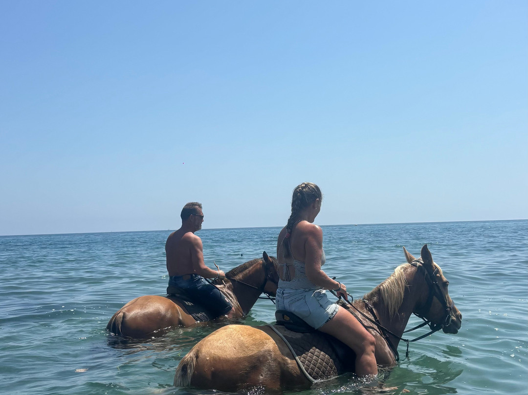 Aux Poneys d Eden-Canale-di-Verde必去景点