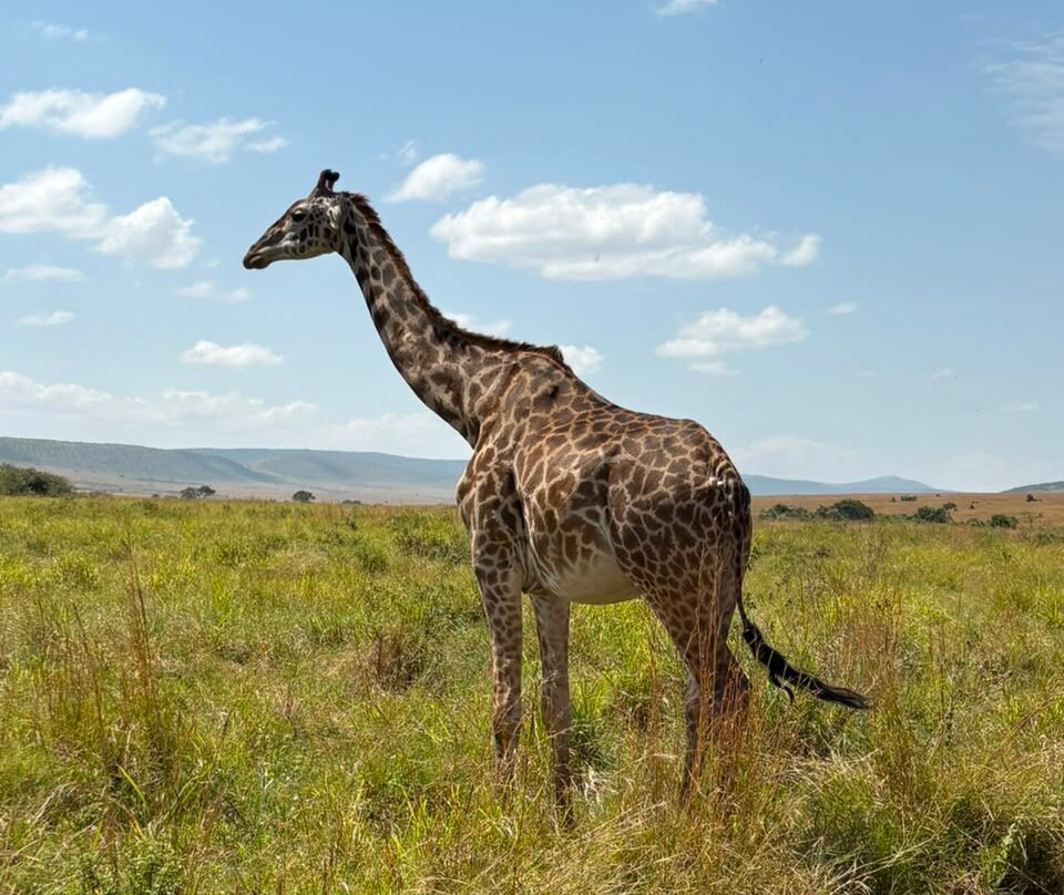 Oribi Expeditions-内罗毕必去景点