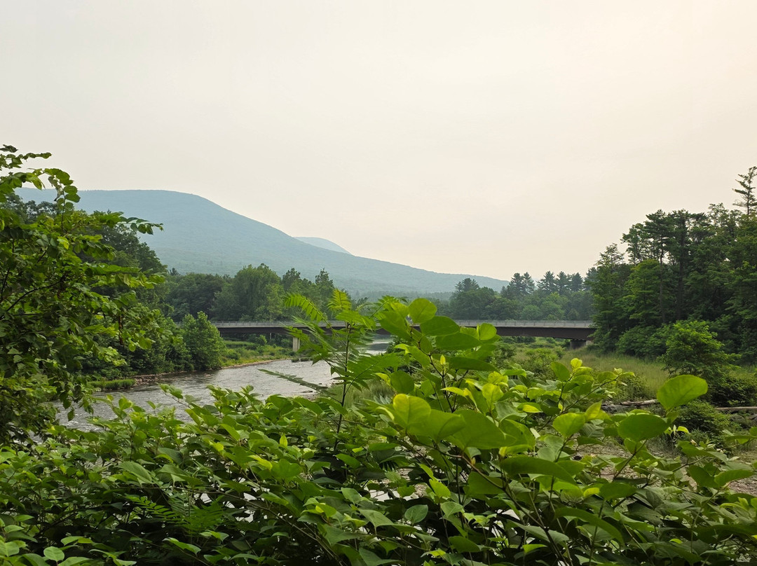 Rail Explorers Catskills Division-Phoenicia必去景点