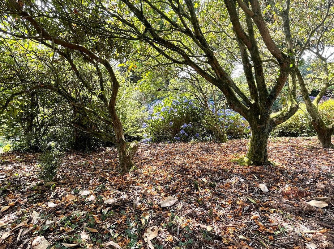 Cappoquin House Gardens-Cappoquin必去景点