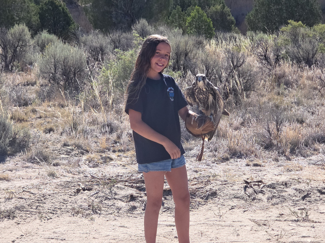 Bryce Canyon Falconry-Cannonville必去景点