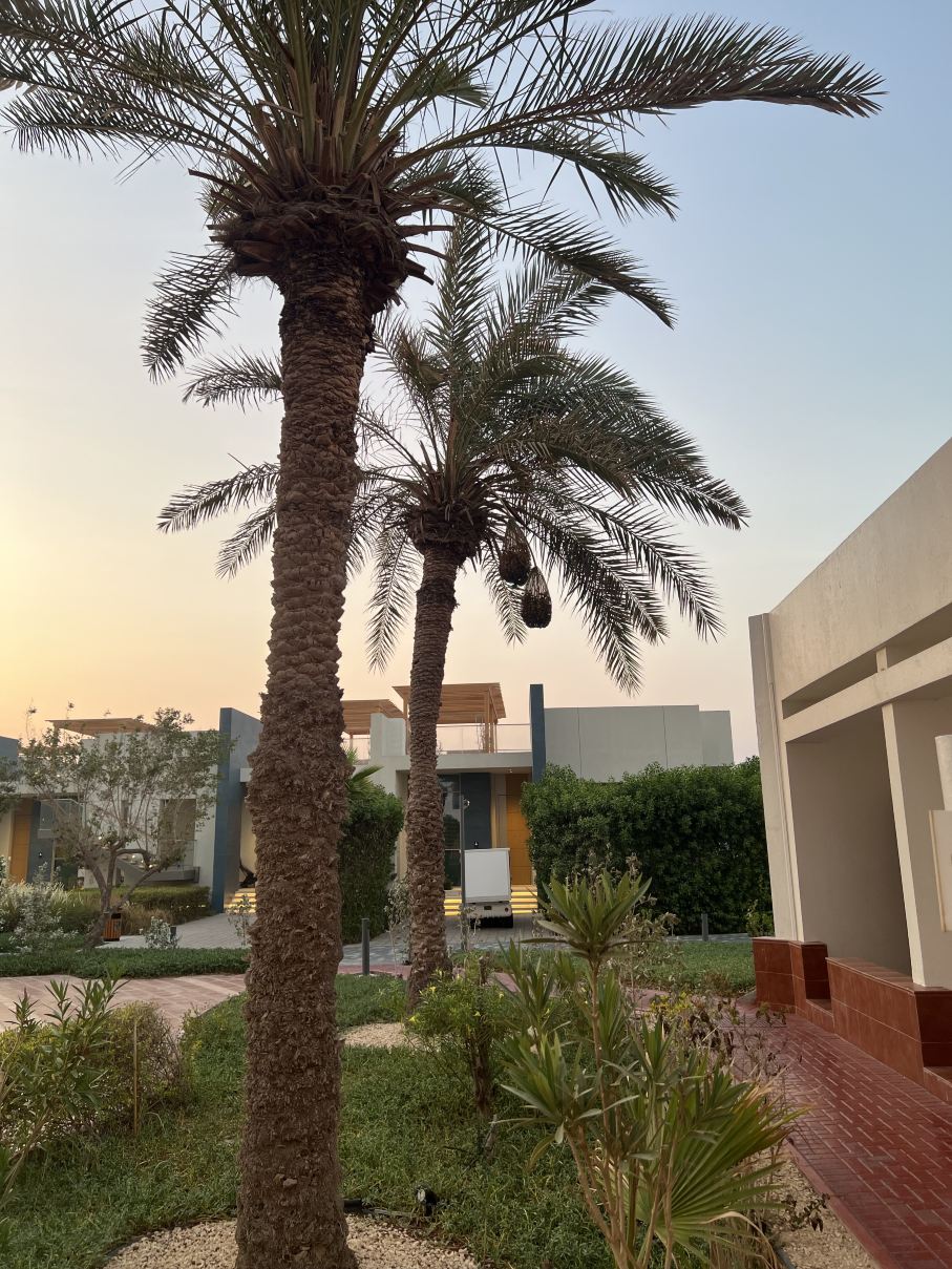Ajman Hotel & Villas by Blazon Hotels-旅行者