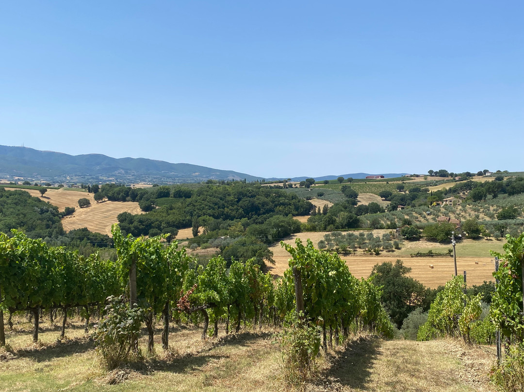 Azienda Agraria Brunozzi-Montefalco必去景点