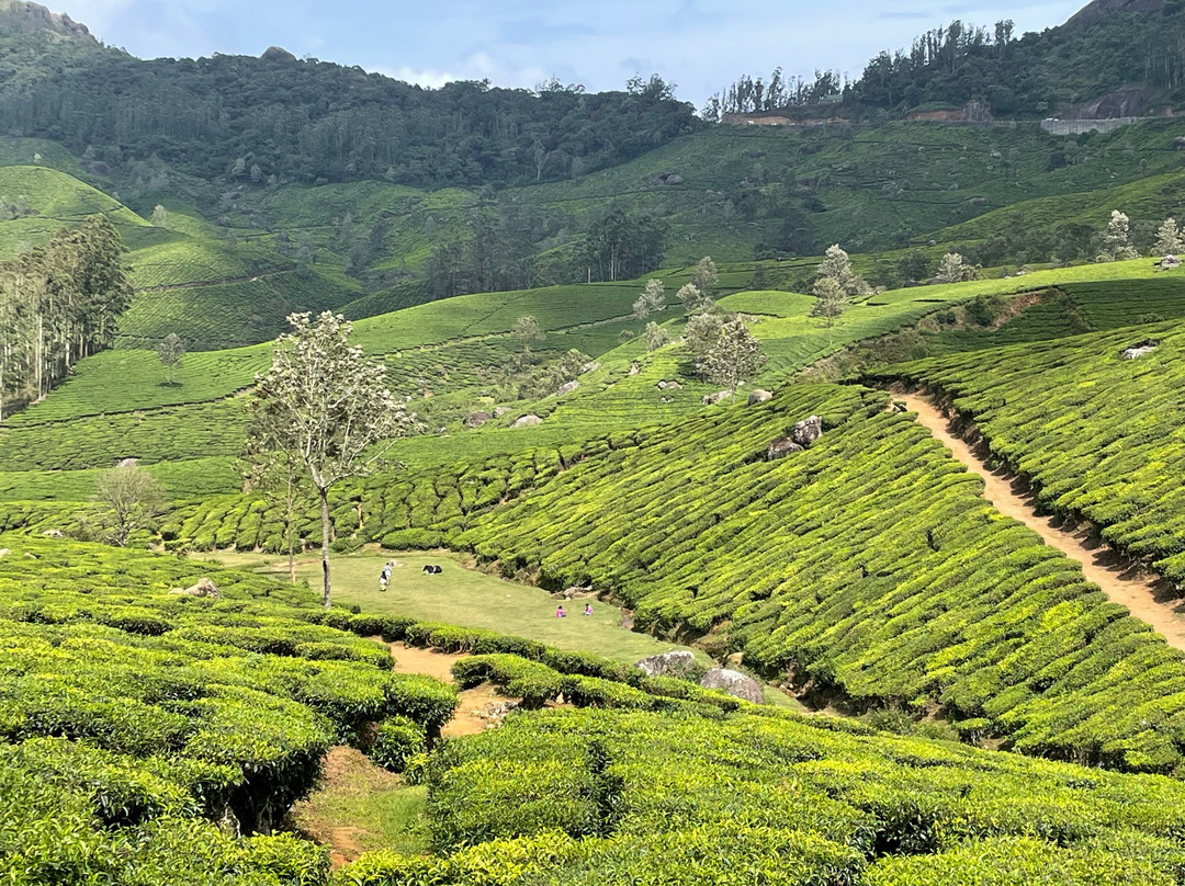 Munnar Hiking Trails-慕那尔必去景点