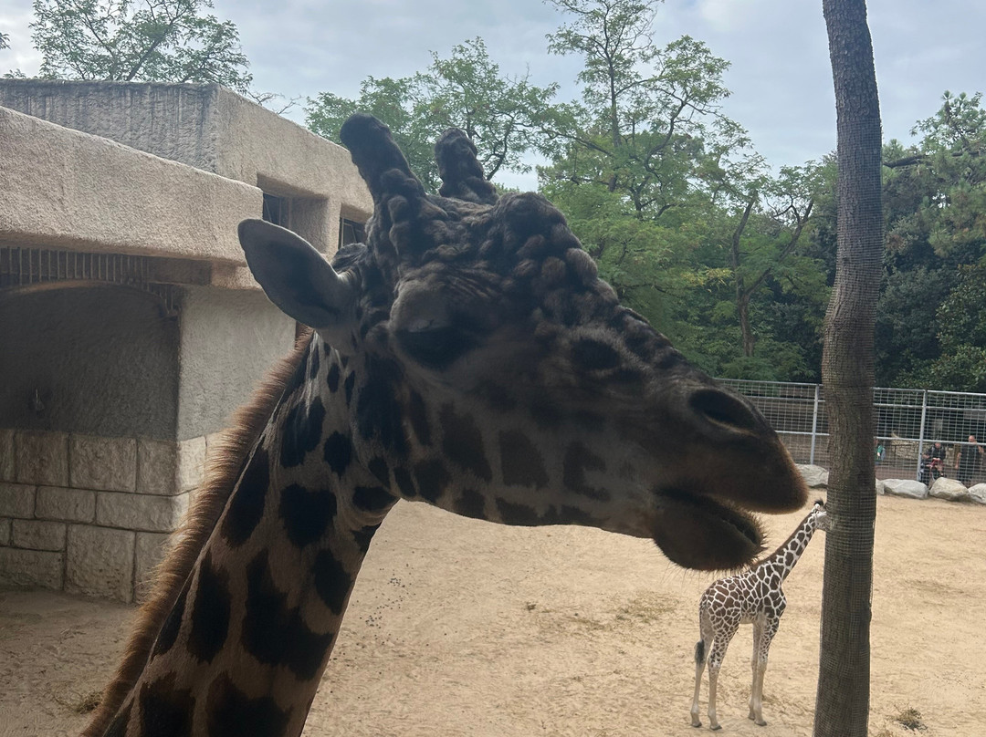 Zoo de La Palmyre-La Palmyre-Les Mathes必去景点