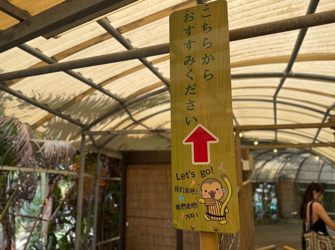Ishigaki Yaima Village-石垣市必去景点