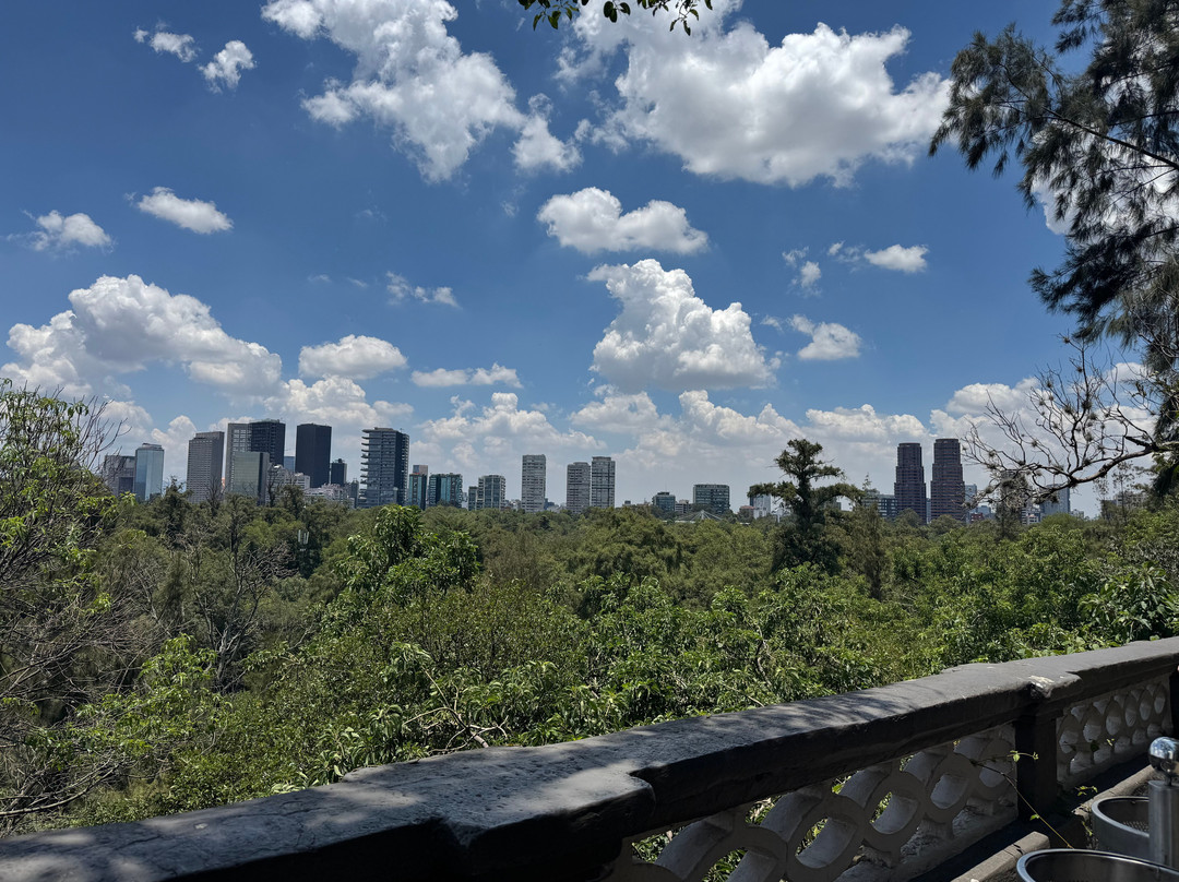 Anthropology and History Museum-梅里达必去景点