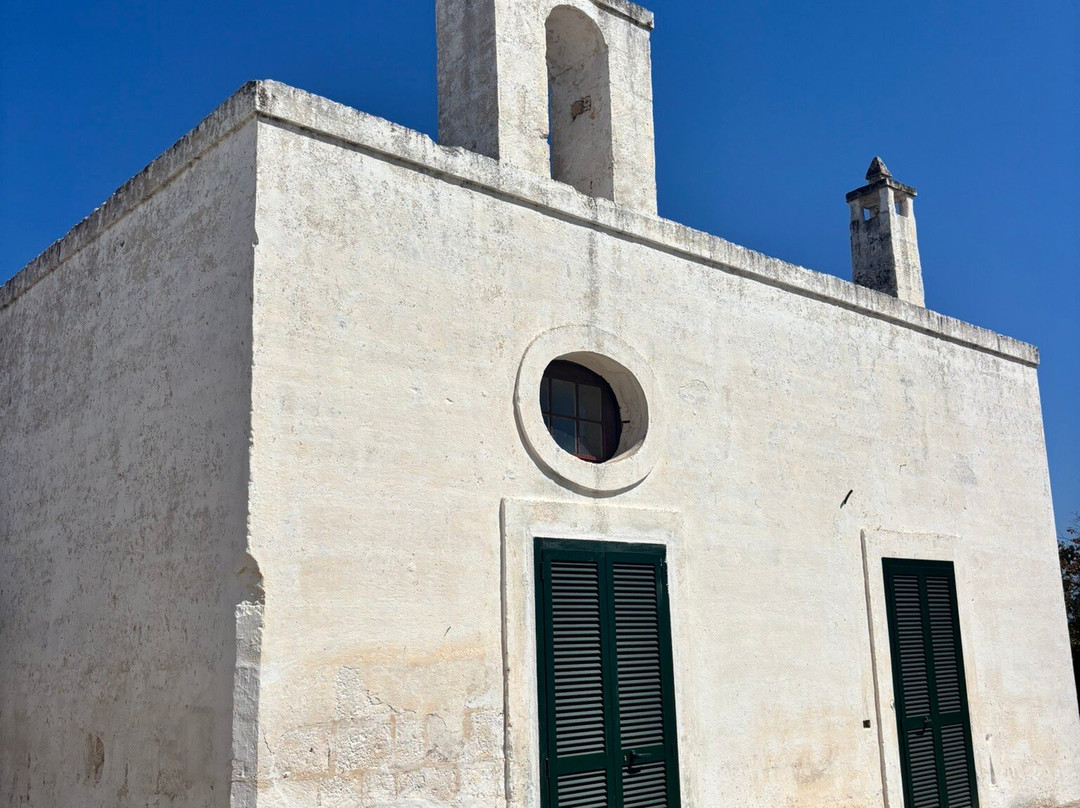 Oleifici Rotondo Luigi Olive Oil Tasting & Farm Tour-莫诺波利必去景点