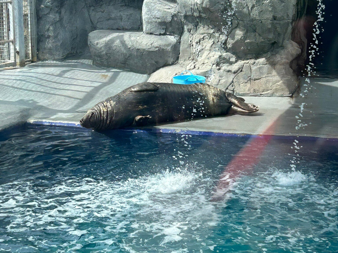 Cornish Seal Sanctuary-Gweek必去景点