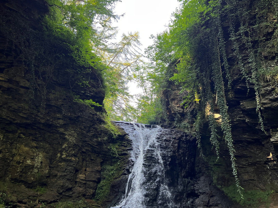 Hareshaw Linn Walk-Bellingham必去景点