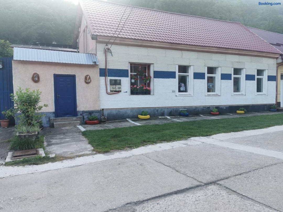 Pensiunea Casa Montana