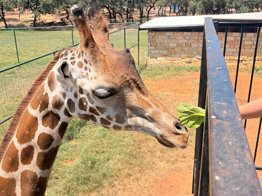 Exotic Resort Zoo, Inc.-Johnson City必去景点