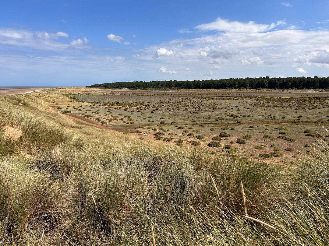 Holkham Bay-Wells-next-the-Sea必去景点