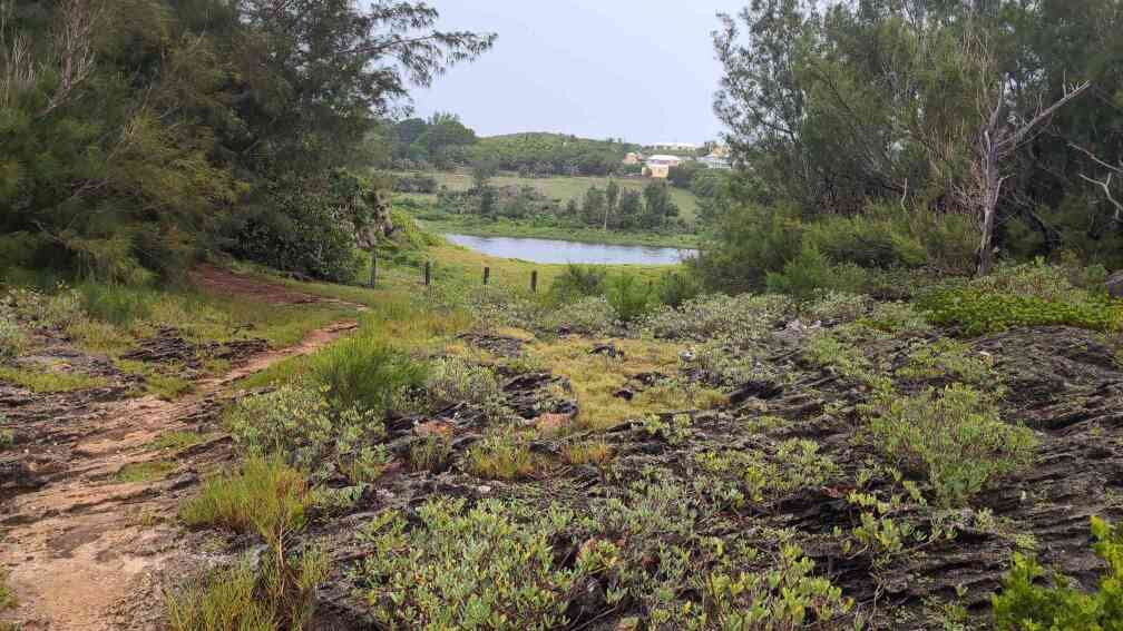 Spittal Pond Nature Reserve-百慕大必去景点