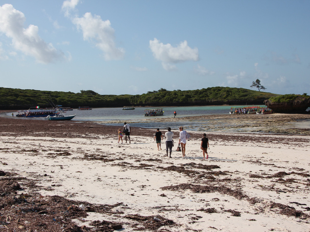 Watamu National Marine Park-瓦塔木必去景点