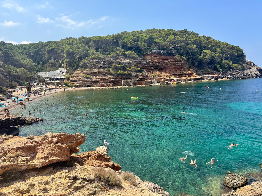 Playa Cala Salada-圣安东尼德波特曼尼必去景点