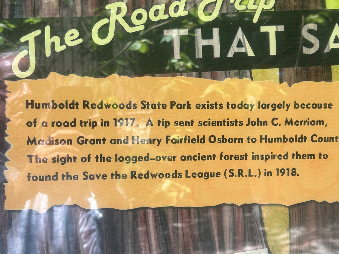 Avenue of the Giants-洪堡县必去景点