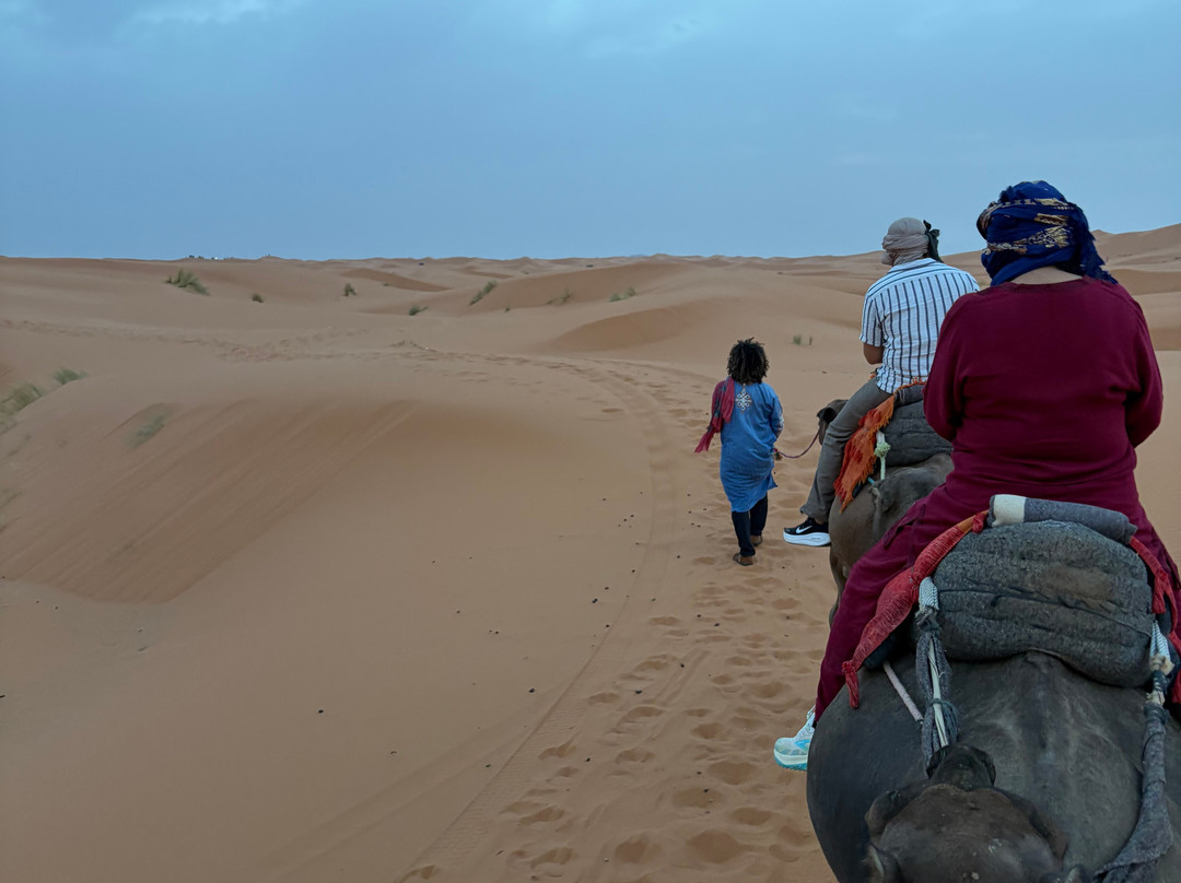 Agencia Marruecos Tours-非斯必去景点