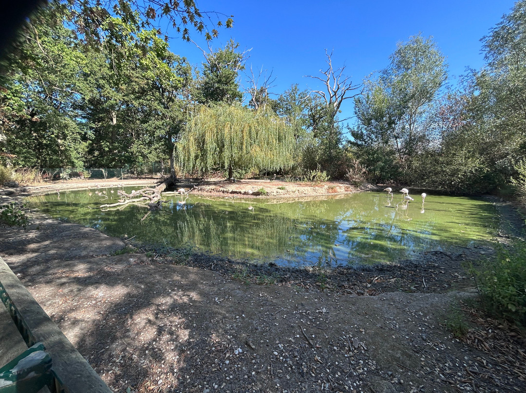 Zoo du Bois d'Attilly-Ferolles-Attilly必去景点