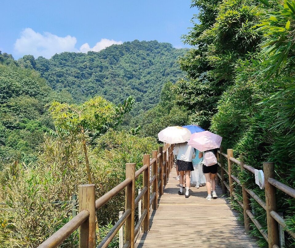 大熊猫谷-都江堰市必去景点