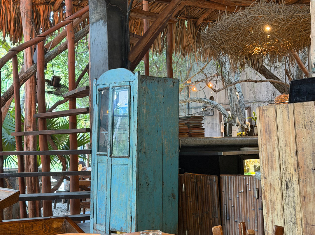 Isla Holbox-Holbox Island必去景点