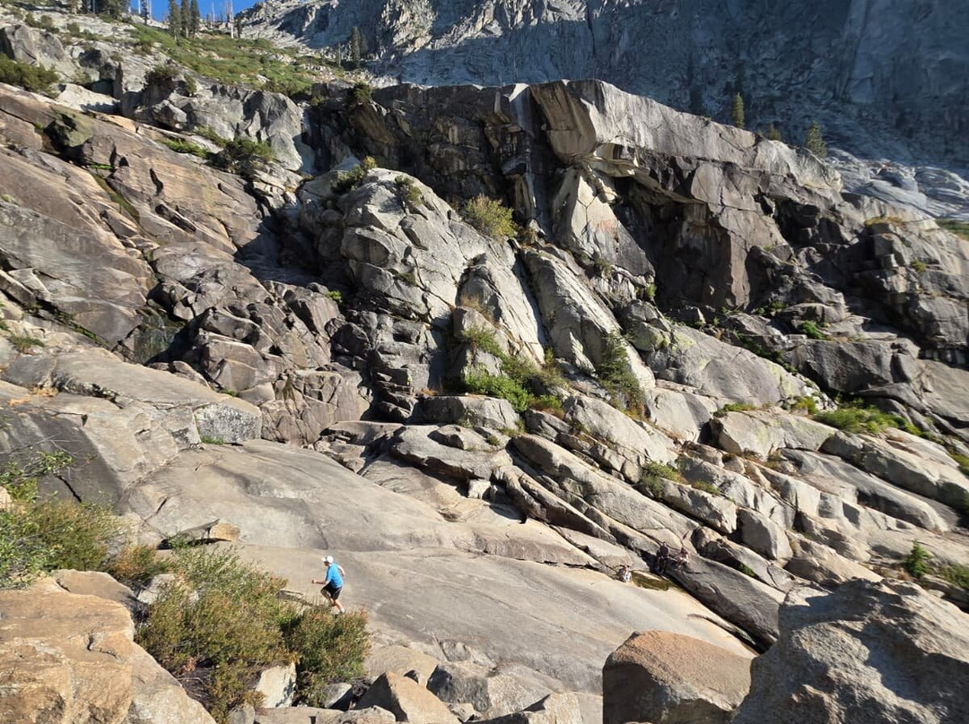 Sequoia National Park-维塞利亚必去景点