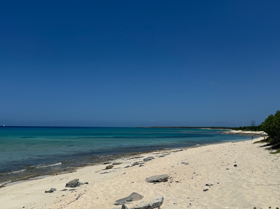 Malcolm's Road Beach-普罗维登西亚莱斯必去景点