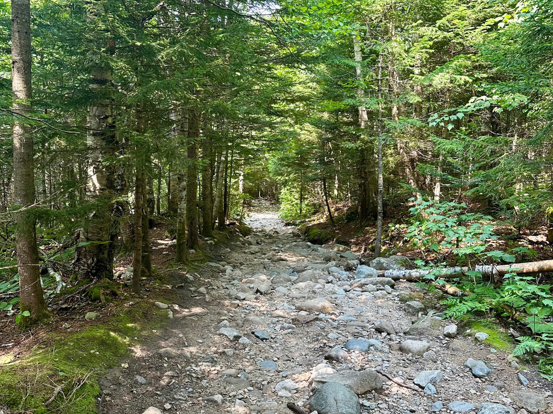 Mount Willard-Hart's Location必去景点