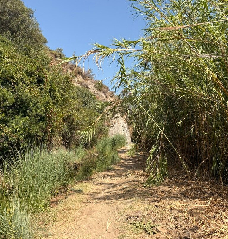 Acequica del Guadalmina Trail-Benahavis必去景点