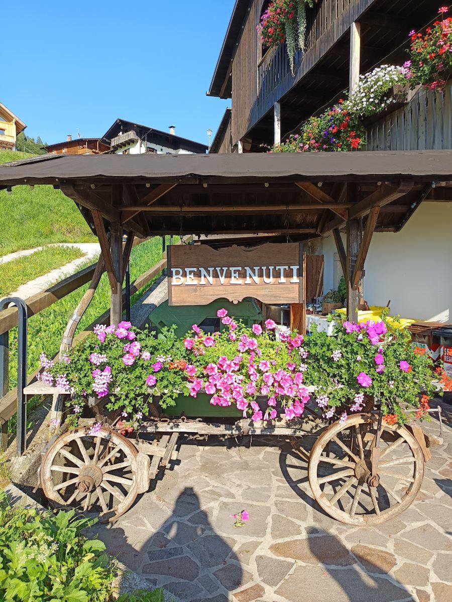 里拉豪斯酒店-旅行者