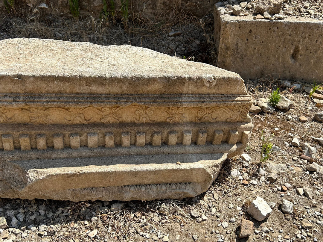 Orikum Archaeological Park-Orikum必去景点
