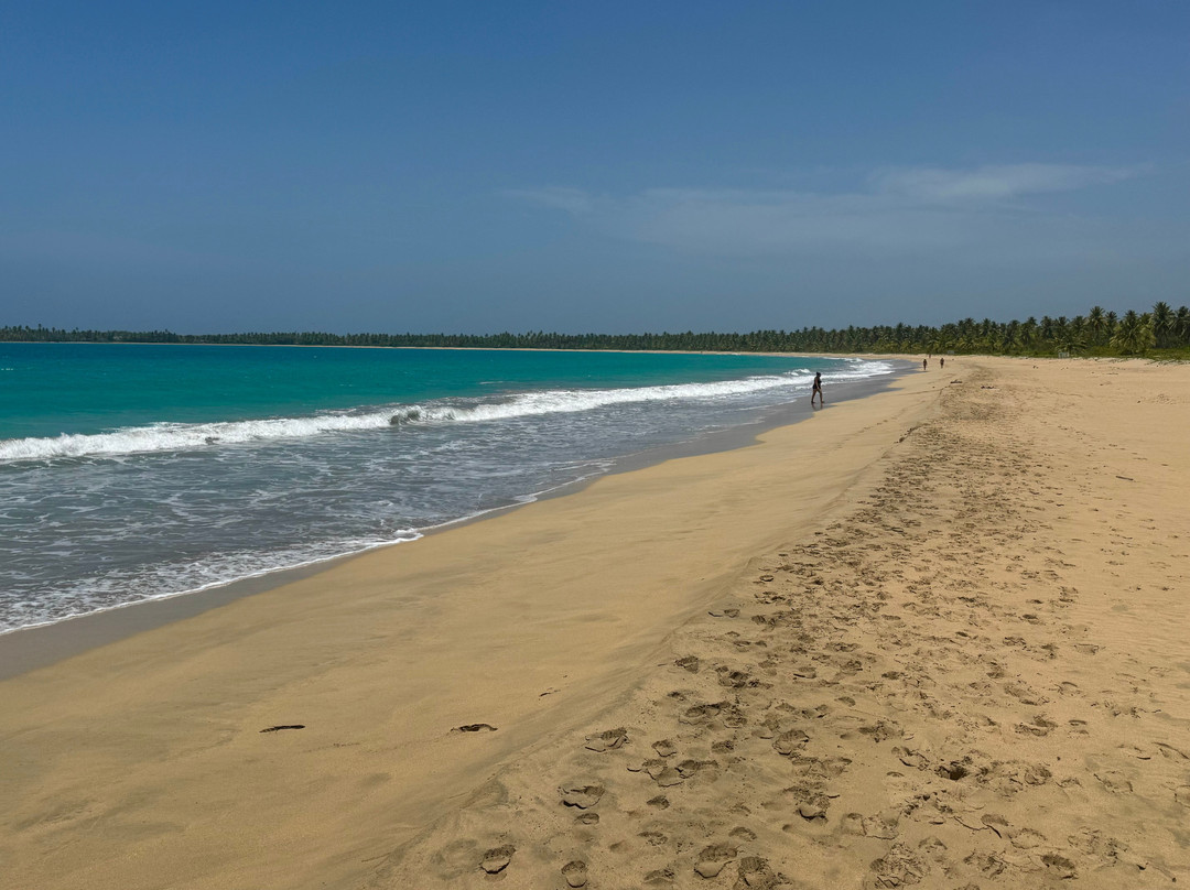 Playa Esmeralda-Miches必去景点