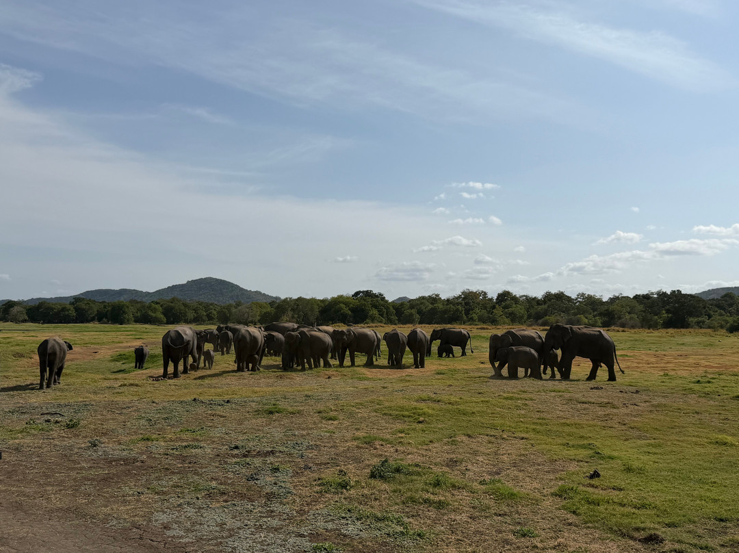 Ceylon Safari Holiday-Ratmalana必去景点