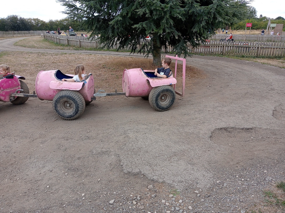 Piglets Adventure Farm-约克必去景点