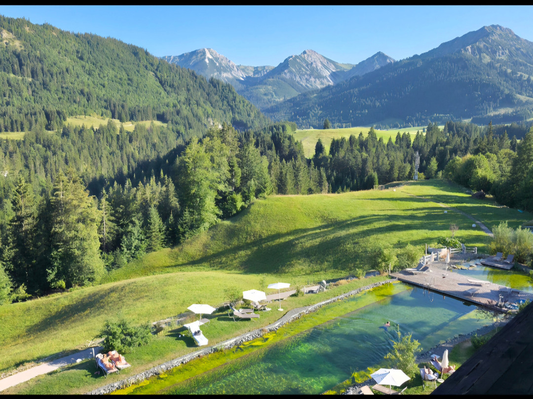 Ruhehotel & Naturresort Rehbach - Adults Only主图