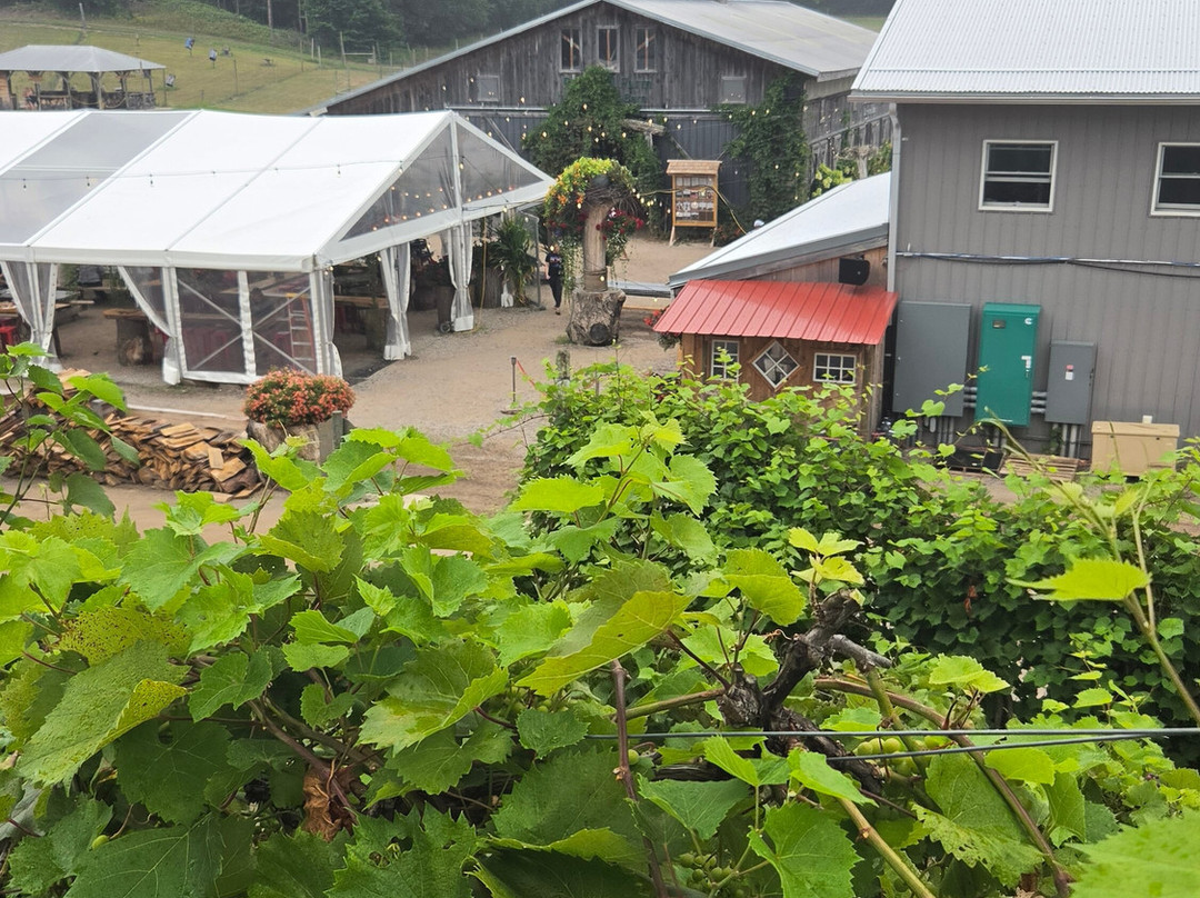 Pond Hill Farm Winery-Harbor Springs必去景点