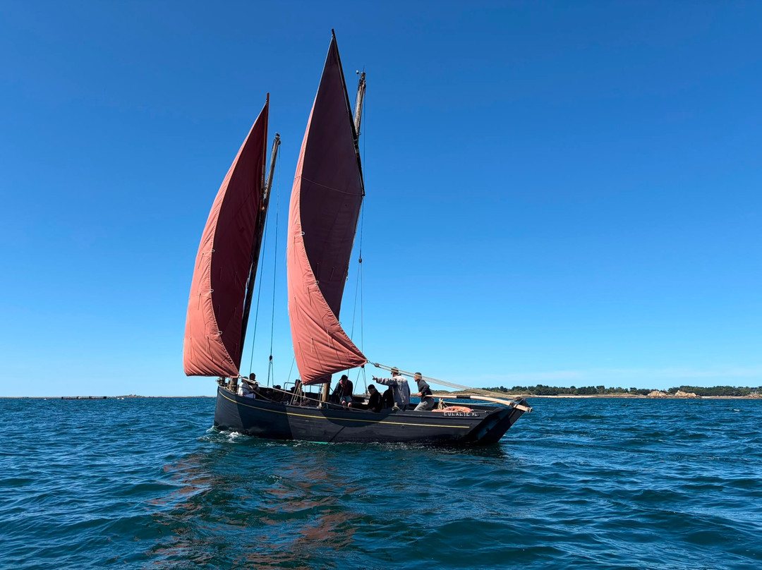Embarquez Sur Eulalie-Ile-de-Brehat必去景点