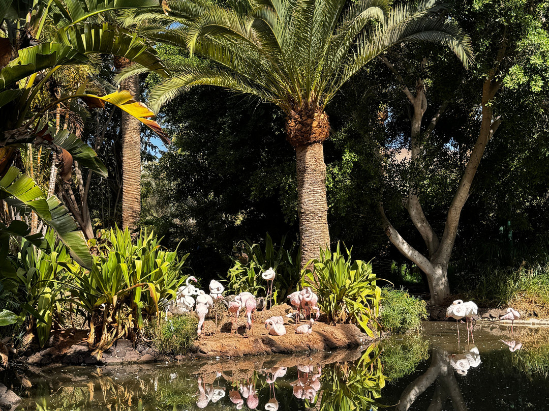 Oasis Park Fuerteventura-La Lajita必去景点