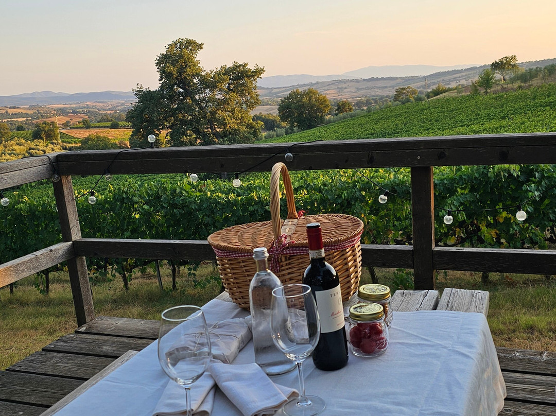 Terenzi Hospitality & Wine主图