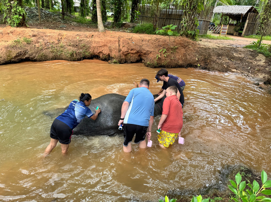 Khaothong Elephant Camp-Khao Thong必去景点