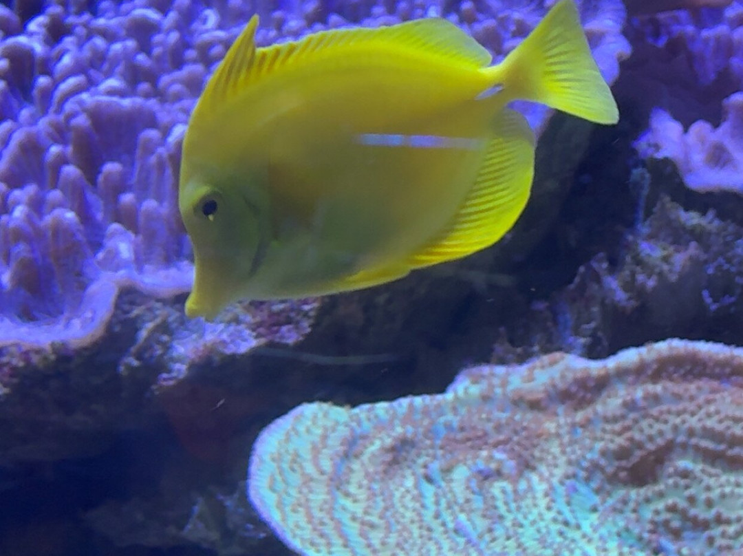 Grand Aquarium-圣马洛必去景点