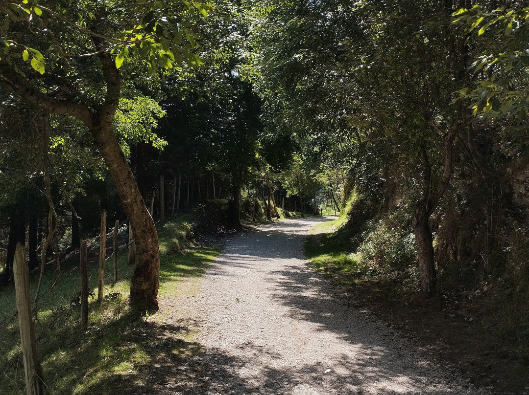 Strada Del Vecchio Trenino-阿夏戈必去景点