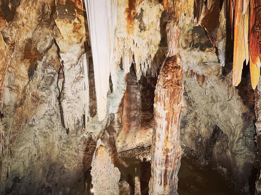 Grotte di Toirano-Toirano必去景点
