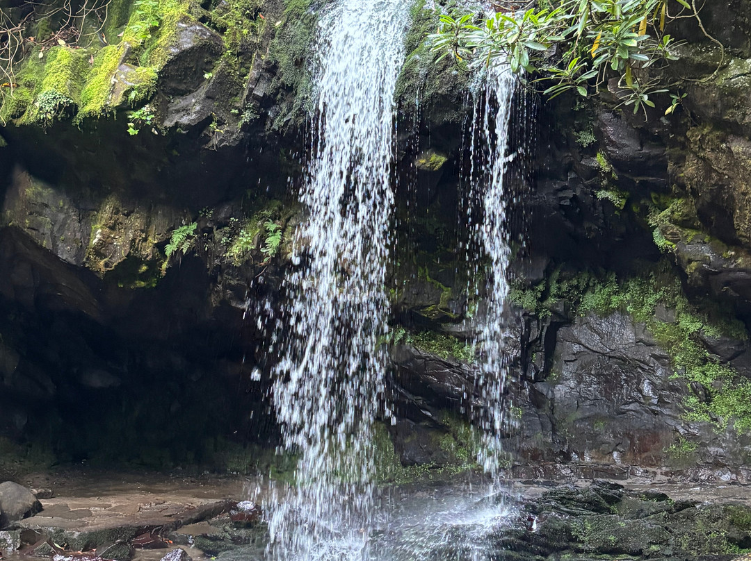 Grotto Falls Trail-大雾山国家公园必去景点