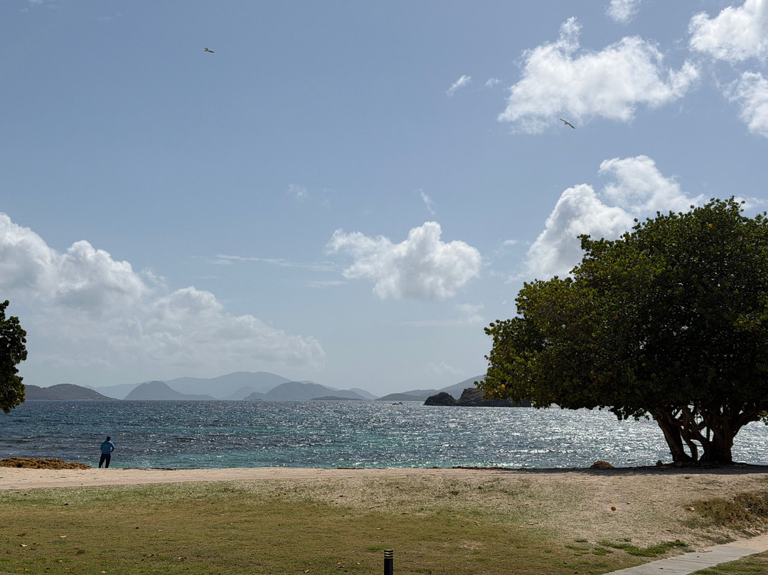 Sapphire Beach-East End必去景点