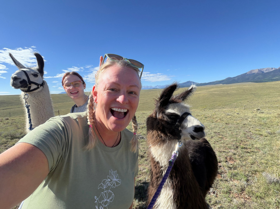 Llama Trekking by Lookin Up Outfitters-Westcliffe必去景点