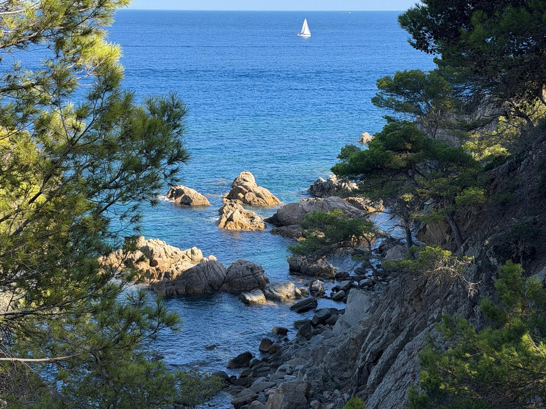 Creative Catalonia - Bike Holidays Girona Spain-赫罗那必去景点