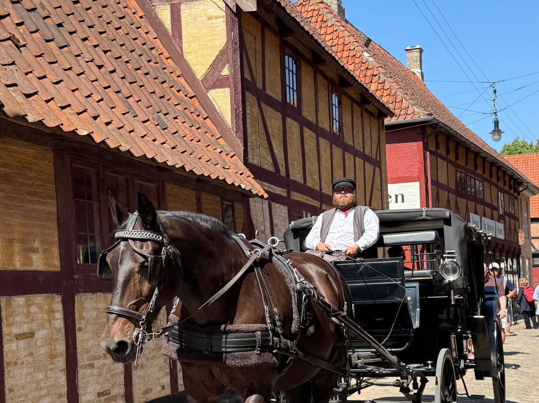 Old Town in Aarhus-欧胡斯必去景点